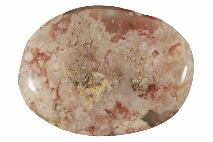 Polished Flower Agate Palm Stone - Madagascar #226849